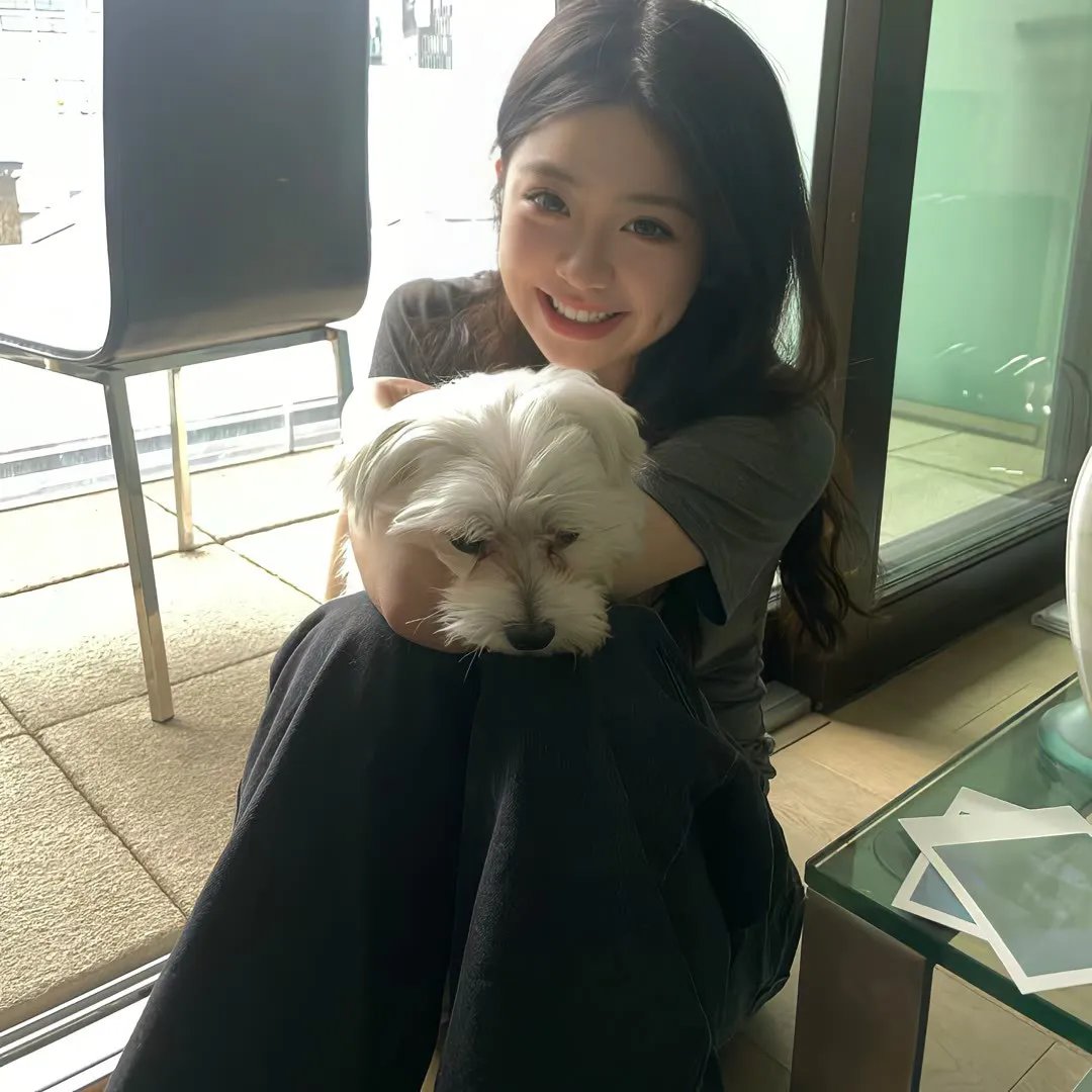 狼群的冲突
